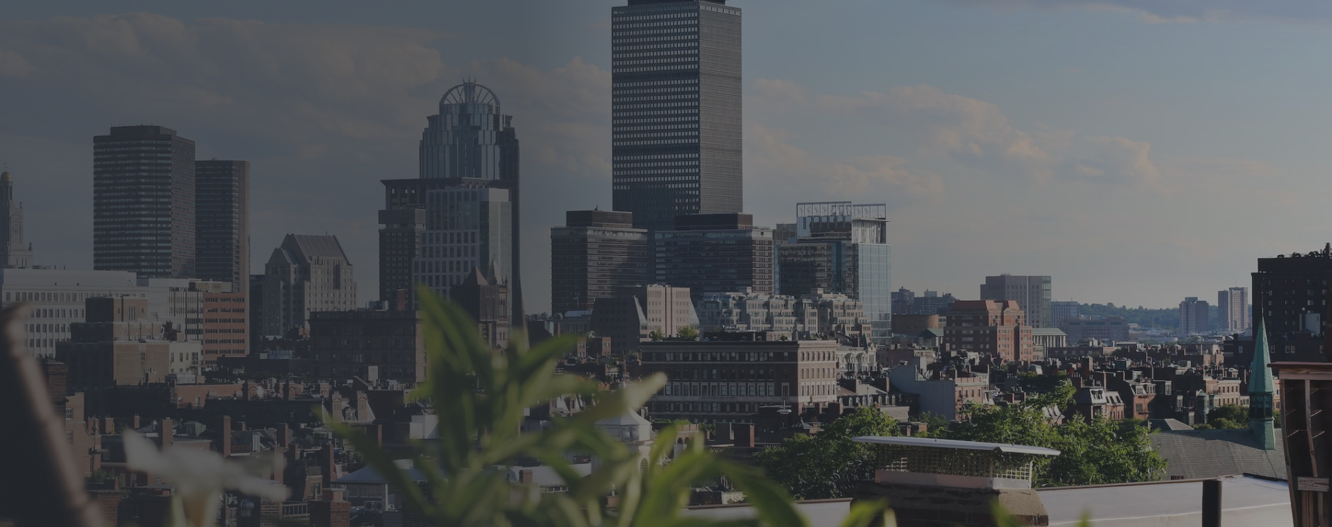Boston skyline with urban buildings and greenery in the foreground, representing Octopus Moving's services in Brookline, Massachusetts.
