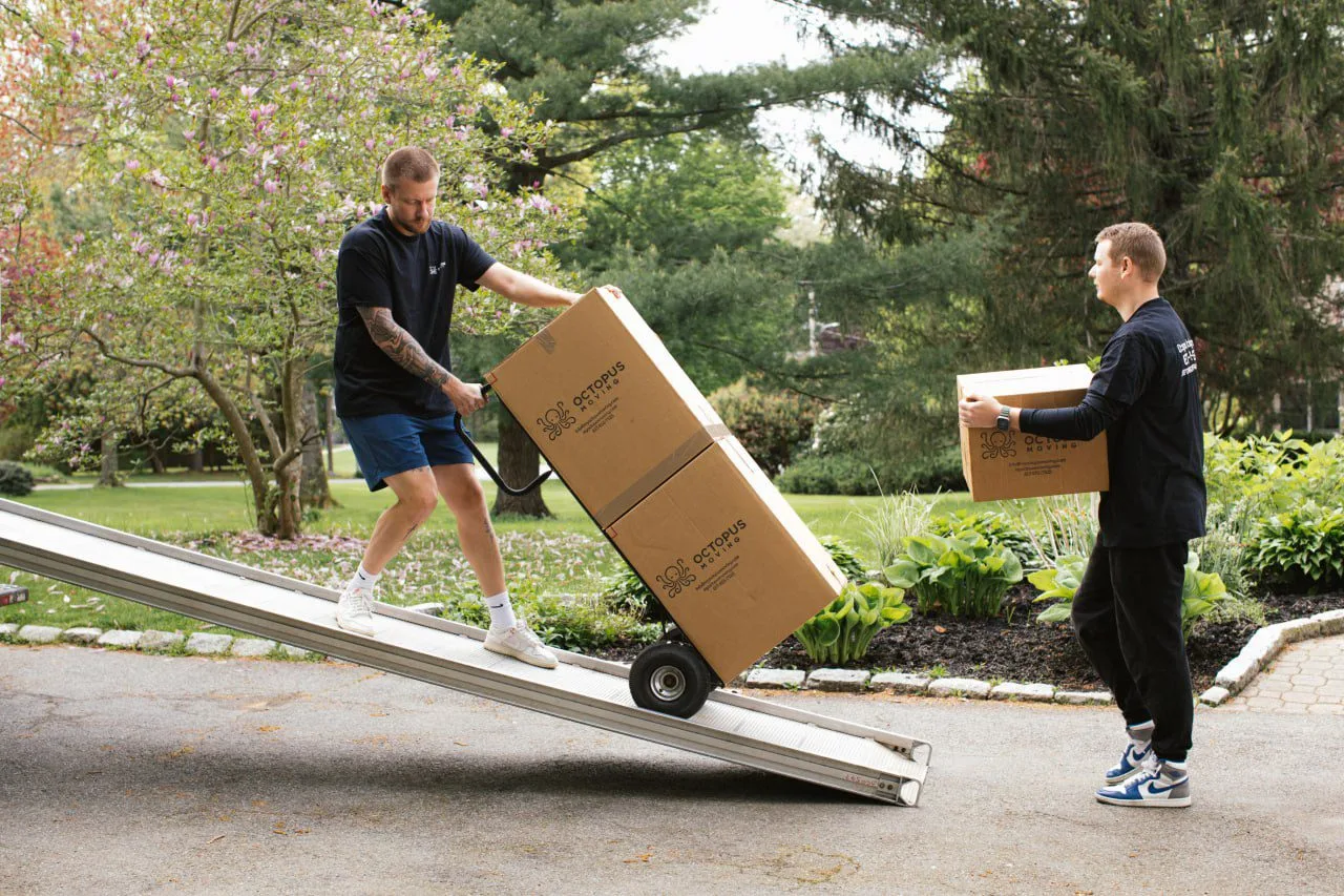 Professional moving team carefully handling furniture during an apartment move